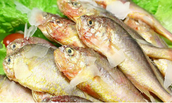 黑龙江转变经济增长方式浅析【ky开元集团官网入口】(图3) ky开元集团官网入口