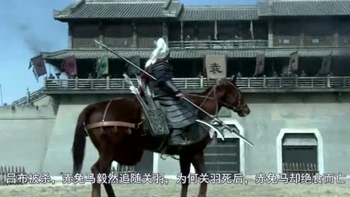 重啤重创大成三基金核心双动力赎回70%|KY开元集团官网(图1) KY开元集团官网