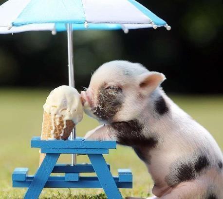 KY开元集团官网:浅谈烟草物流的成本控制(图1) KY开元集团官网