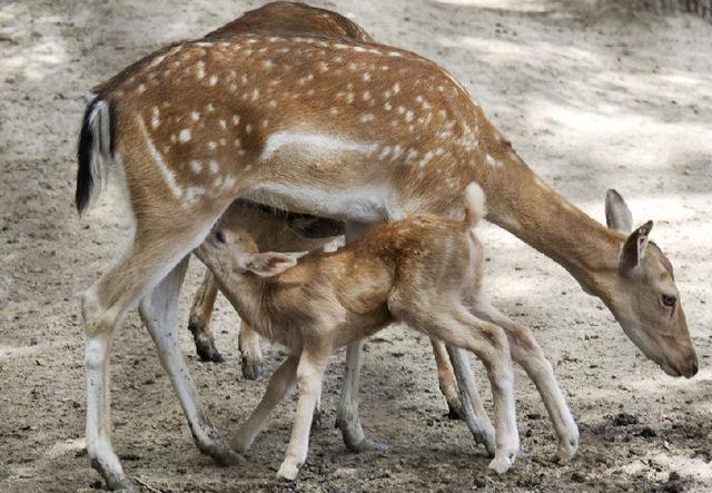 ‘KY开元集团官网’PCB行业随经济走弱适度微调(图1) ky开元集团官网入口