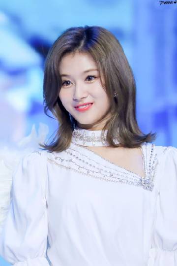 ‘KY开元集团官网’PCB行业随经济走弱适度微调(图4) ky开元集团官网入口