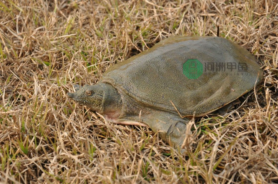 ky开元集团官网入口