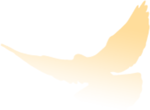 【ky开元】
『笃实中环』中环学院承办开展2020年天津市青工职业技术大赛盘算机网络治理员大赛(图4) 【ky开元】
『笃实中环』中环学院承办开展2020年天津市青工职业技术大赛盘算机网络治理员大赛(图4)