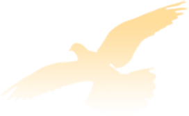 【ky开元】
『笃实中环』中环学院承办开展2020年天津市青工职业技术大赛盘算机网络治理员大赛(图10) 【ky开元】
『笃实中环』中环学院承办开展2020年天津市青工职业技术大赛盘算机网络治理员大赛(图10)